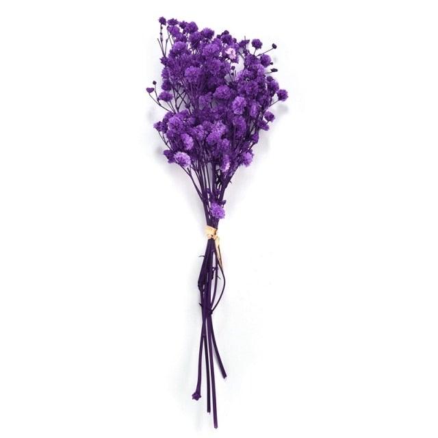 Natural Gypsophila Dried Flowers Mini Babysbreath Flower Preserve Floral Decor Bouquet Wedding Party Home Backdrop Decor 12cm