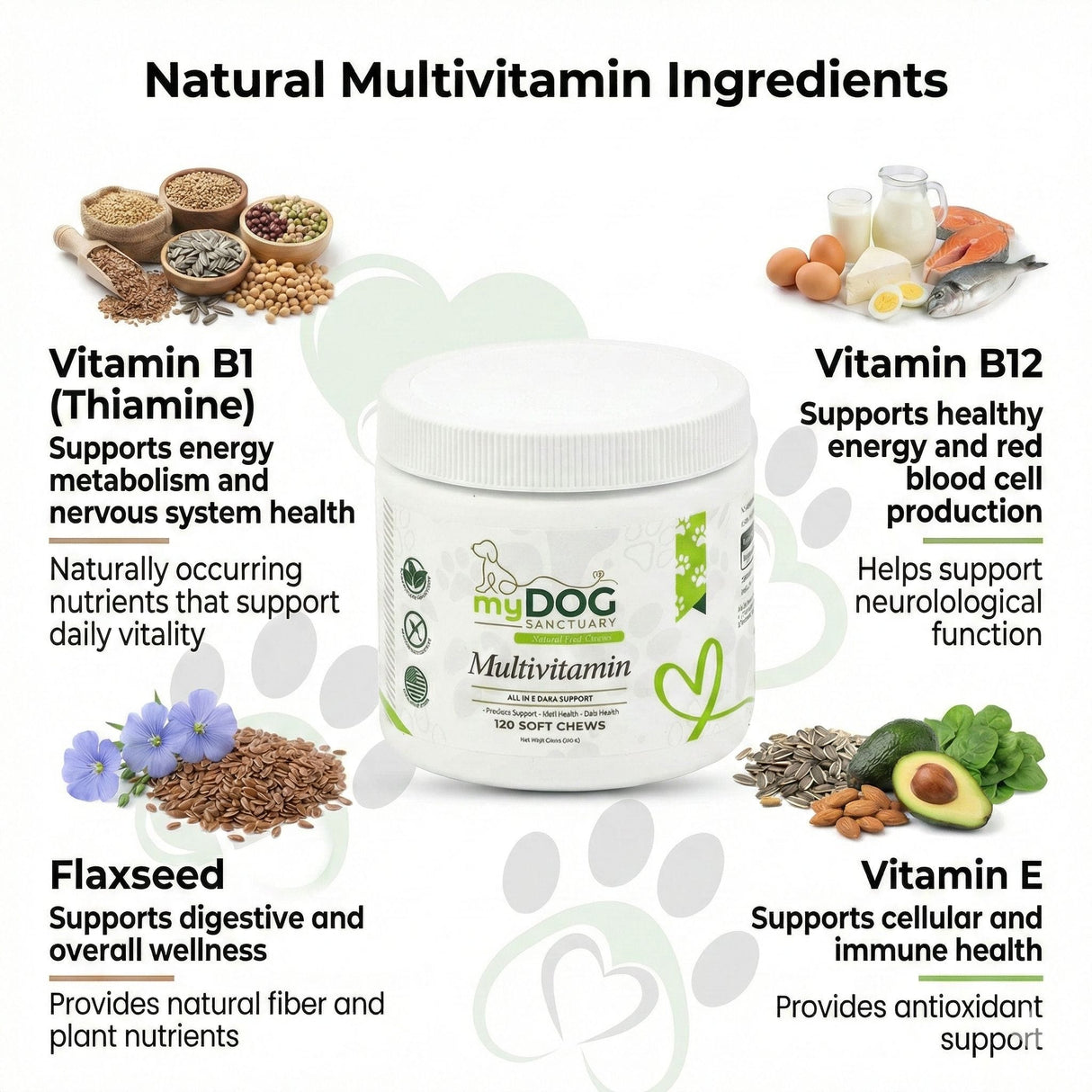 Sanctuary Strength Daily Multivitamin Chews