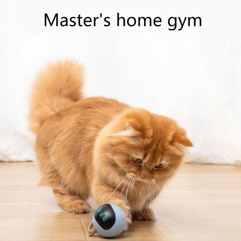 Smart Pet Toy USB Rechargeable Sports Ball Funny Chaser Roller Toy The Best Entertainment Exercise Gift For Smart Cat Toy Electric Jumping Ball Self Rotating Toys Rolling Jumping Ball For Cats