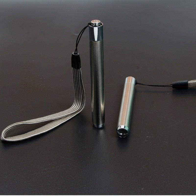 Stainless Steel Mini Pocket UV Black Light Flashlight Led Lamp Portable Flashlight Ultraviolet Pen Lights For Leak Pet Urine Bed Bug Dry Stain & Dye Detector Marker Checker Detection