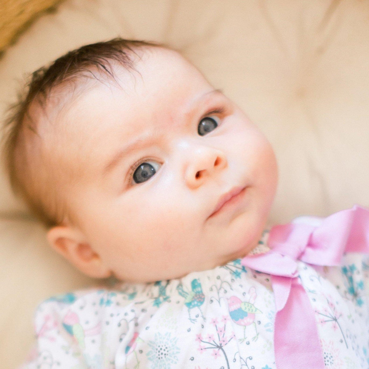 Bow Romper s/s - Regal Bird on White 100% Pima Cotton by Feather Baby