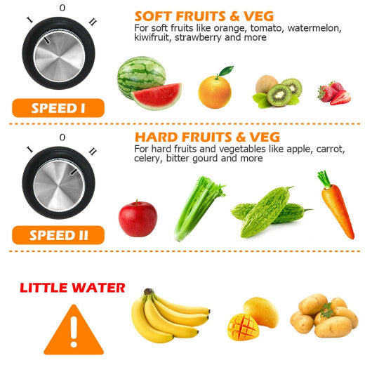 Centrifugal Juicer Machine Juicer Extractor Dual Speed