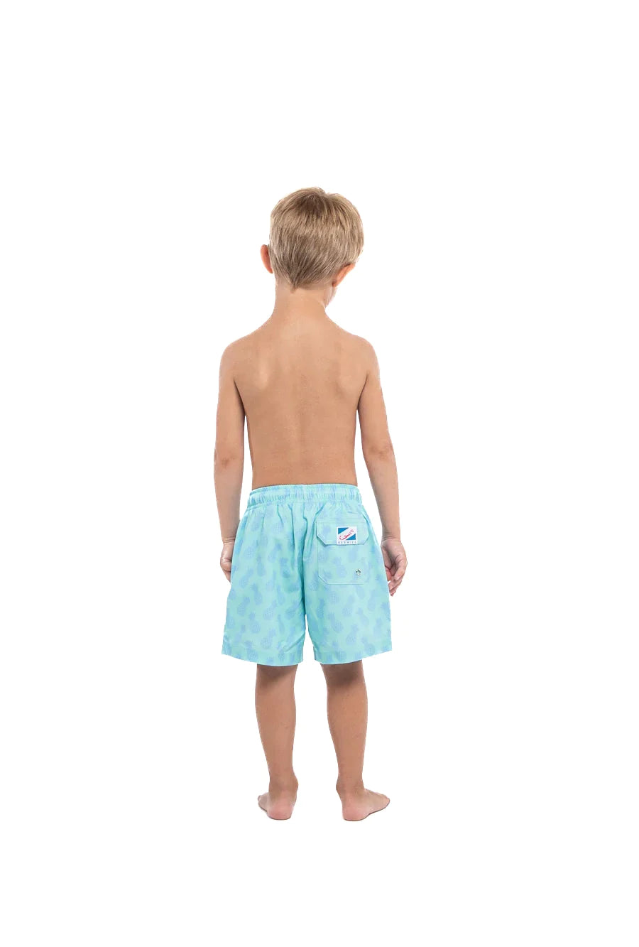 Pineapple Aqua by Bermies