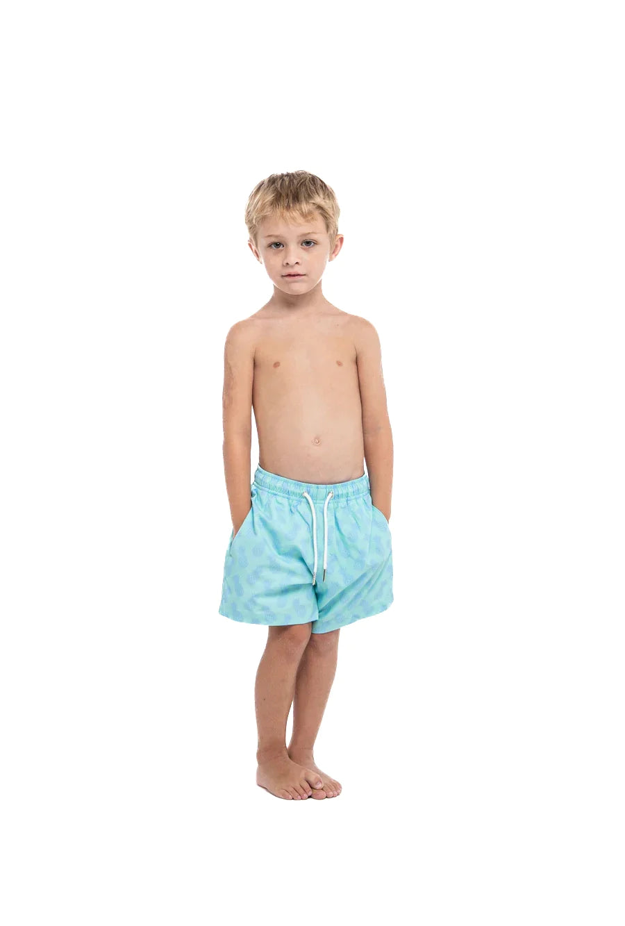 Pineapple Aqua by Bermies