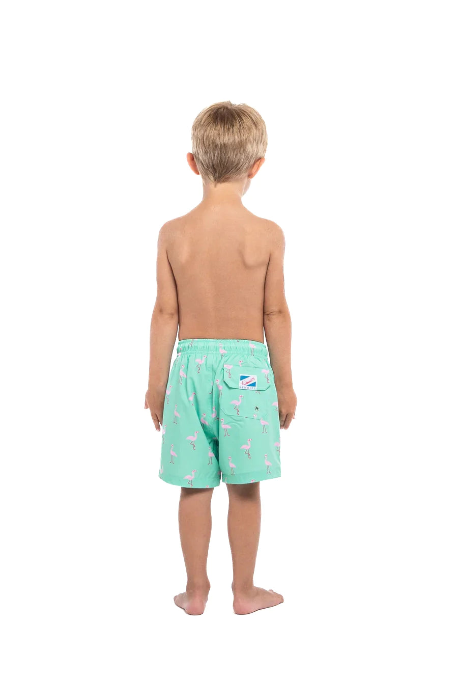 Green Flamingo by Bermies