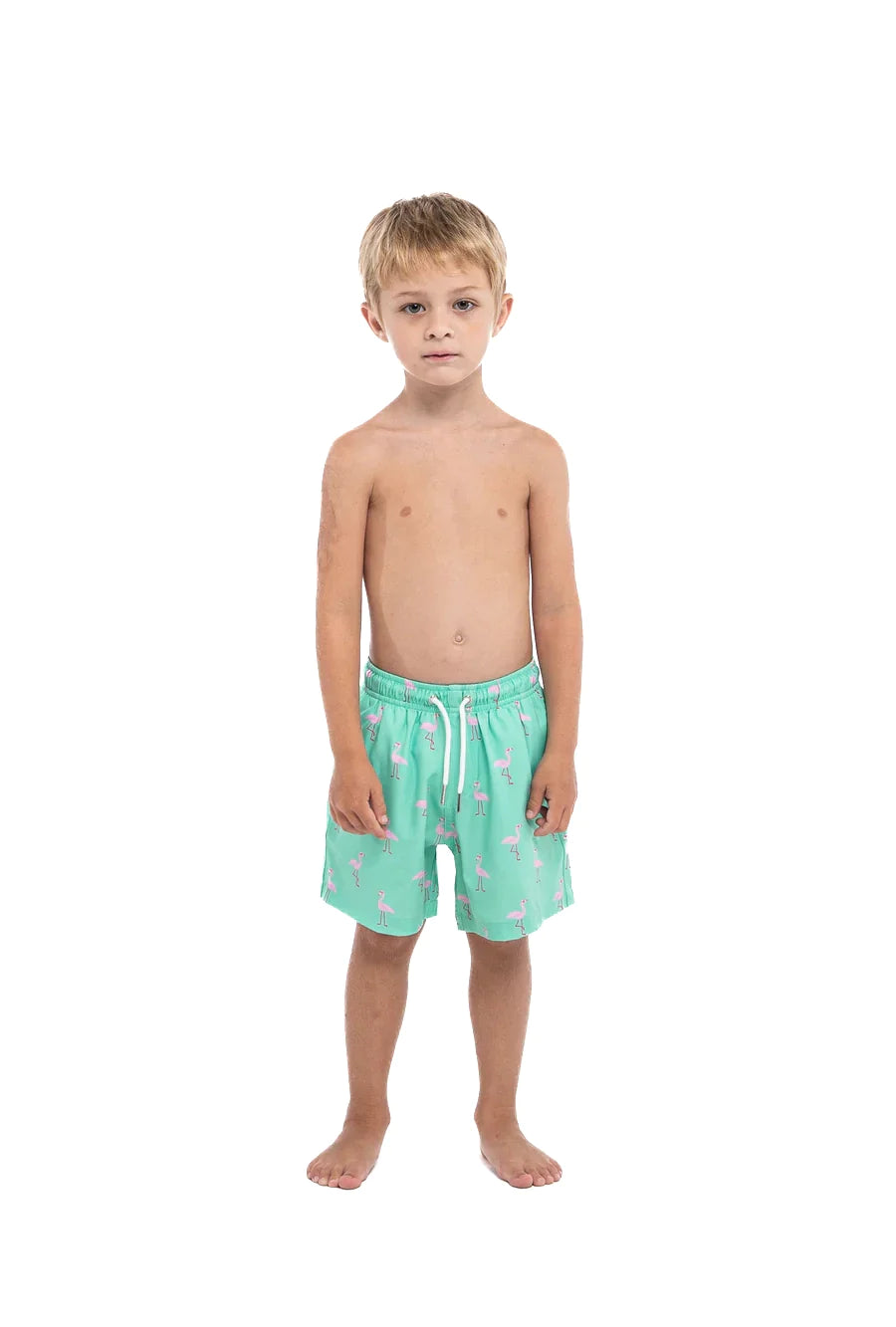 Green Flamingo by Bermies