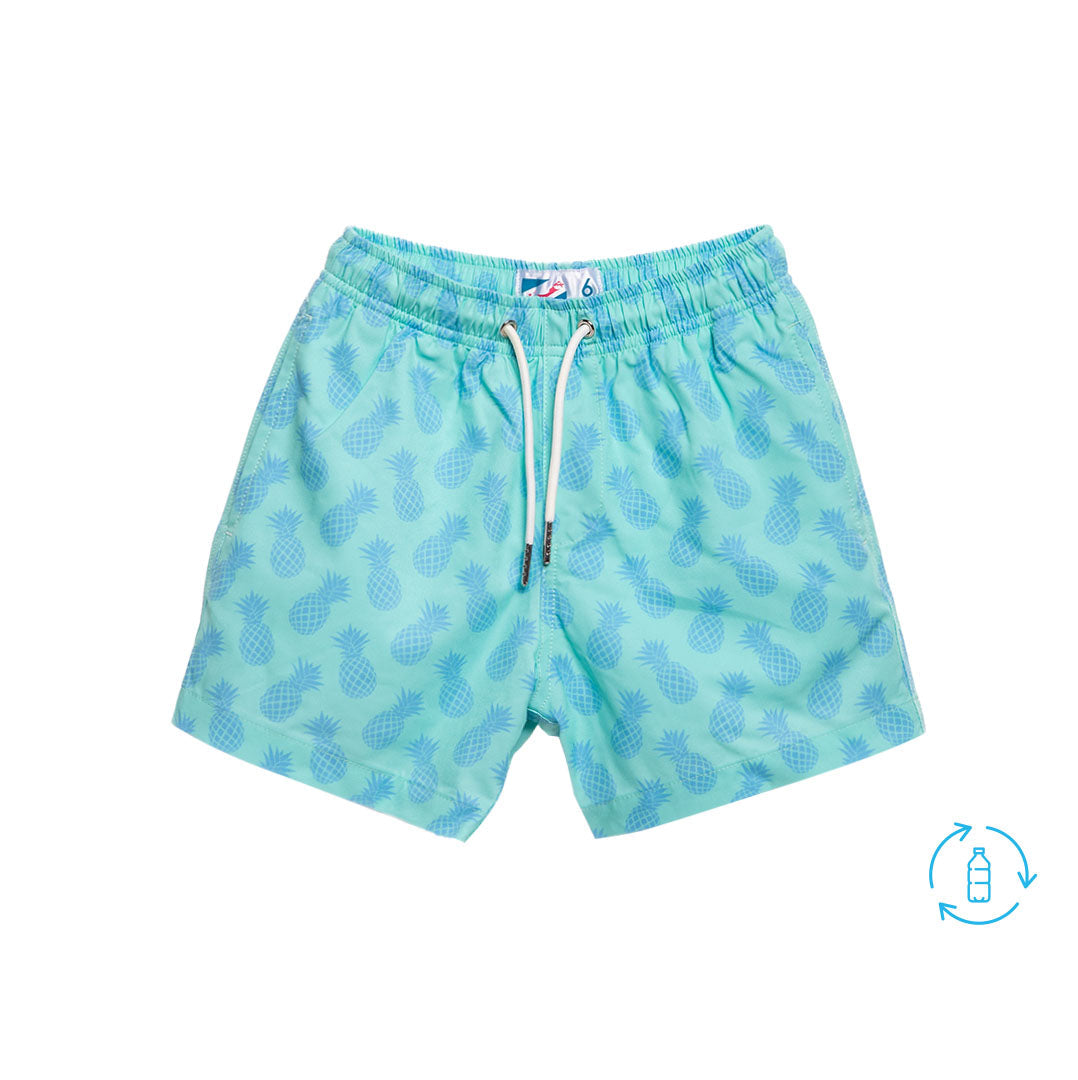 Pineapple Aqua by Bermies