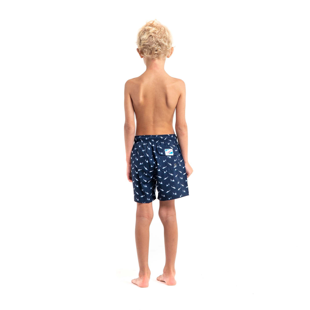 Sharks - Kids Swim Trunks by Bermies