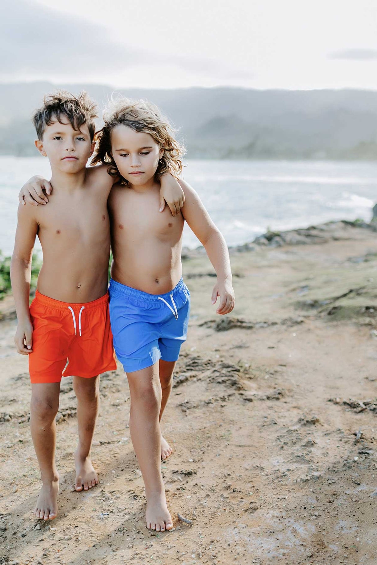 Red to Shark by Bermies