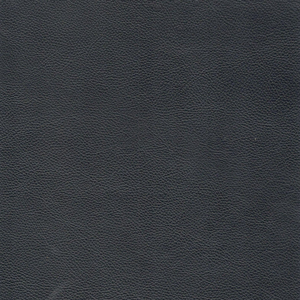 Mid-Century Tufted Leather Sofa by Couch.com