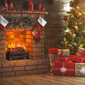 (Open Box) Eternal Flame EF23-PB Electric Fireplace Logs