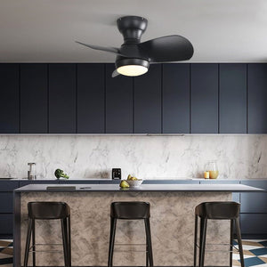 23" Bedroom Ceiling Fan With 3 Color Dimmable 3 ABS Blades Remote Control Dc Motor Black With 18W Led Light by Couch.com