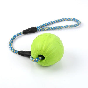Dog Ball Toy  Bite Resistance Puzzle Training