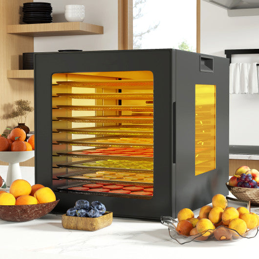 10 Stainless Steel Trays Dryer with 10 Presets-Black