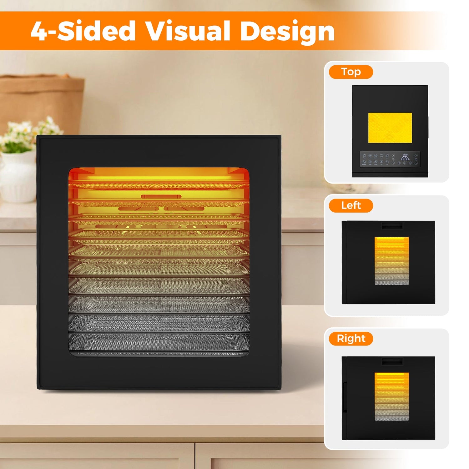 10 Stainless Steel Trays Dryer with 10 Presets-Black by DirectDeals