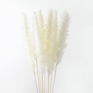 10PCS Bulrush Natural Dried Flowers Artificial Pampas Grass Decor Phragmites Fake Flower Wedding Home Decoration Floor Vase Filler for Living Room Kitchen Decor