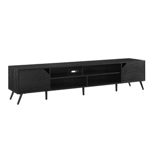 Contemporary 2 Door Minimalist TV Stand by Couch.com