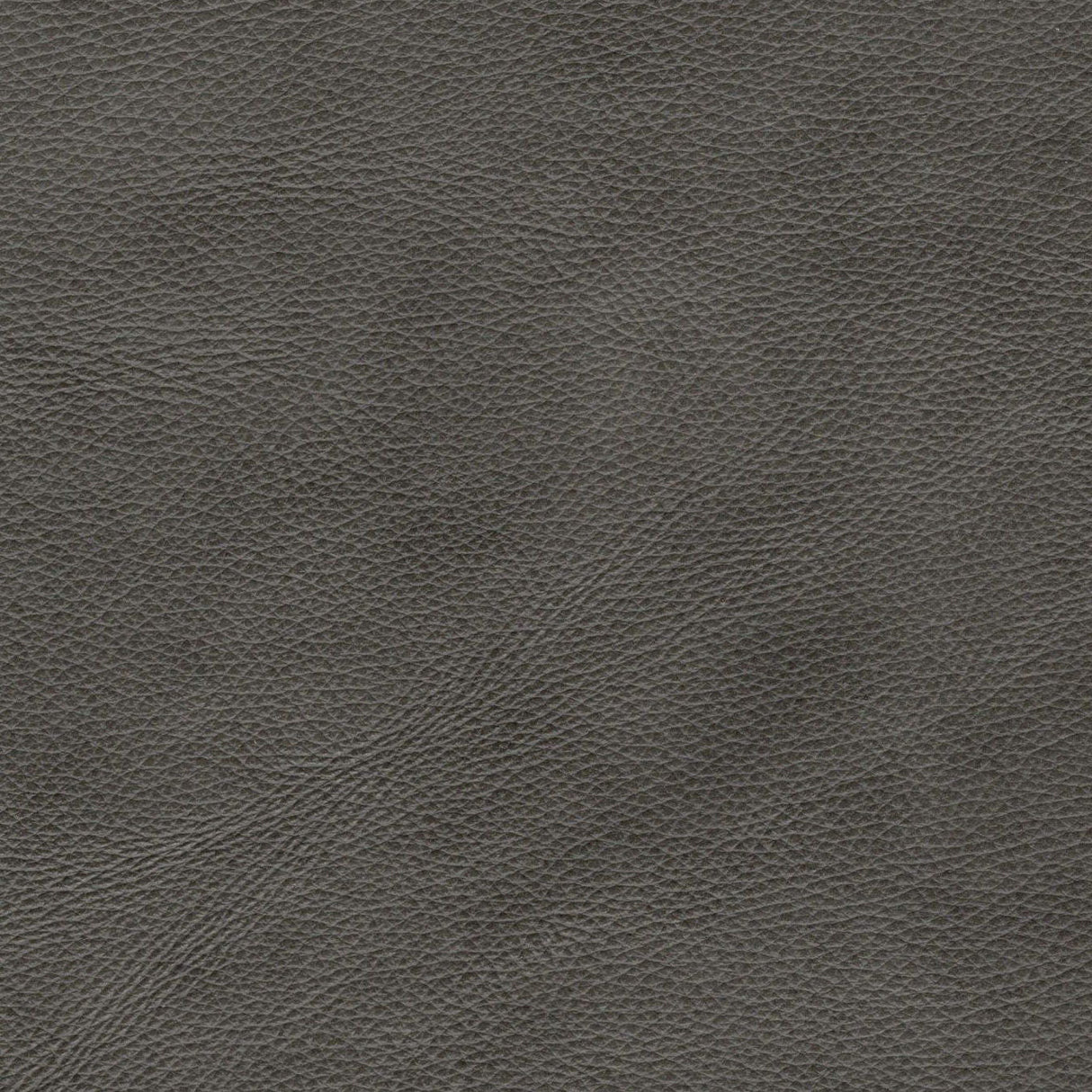 Mid-Century Leather Chair by Couch.com