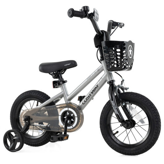 12 Inch Kids Bike Adjustable with Transparent Chain Cover for 3-4 Years Old