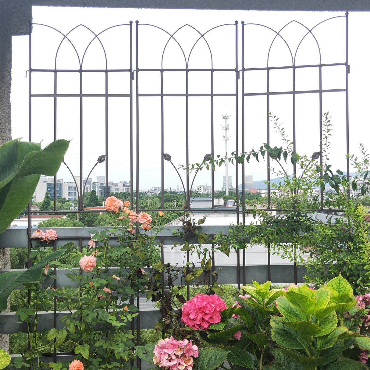 Metal Garden Trellis Rustproof For Climbing Plants Outdoor Flower Support by Couch.com