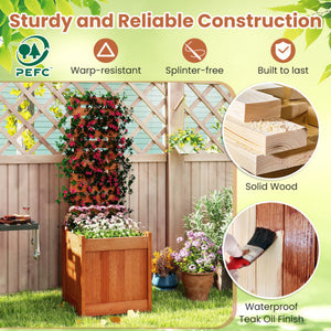 Outdoor Wooden Raised Garden Bed with Trellis