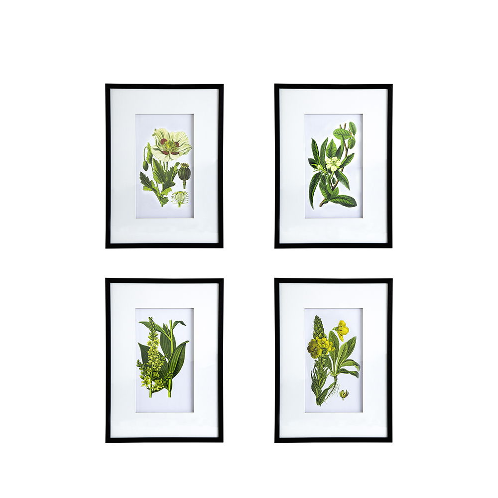 Botanical Flower Wall Art, Home Decor For Living Room Dining Room, Bedroom, Hallway (Set of 4) - White / Blue by Couch.com