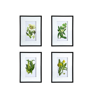 Botanical Flower Wall Art, Home Decor For Living Room Dining Room, Bedroom, Hallway (Set of 4) - White / Blue by Couch.com