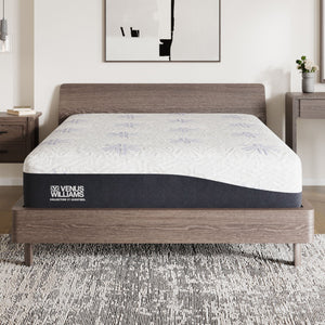 Venus Williams - 14" Serve Hybrid Mattress by Couch.com