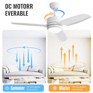 New Design Ceiling Fan With Lights 3 ABS Blades 6 - Speed DC Motor - White by Couch.com
