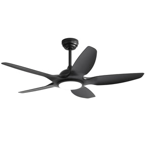 Indoor Ceiling Fan With 5 ABS Blades Remote Control Reversible Dc Motor For Living Room by Couch.com