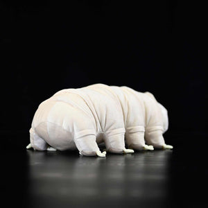 Cute Dinosaur Doll With Plush Toys