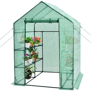Walk-in Greenhouse 56 x 56 x 77 Inch Gardening with Observation Windows-Green