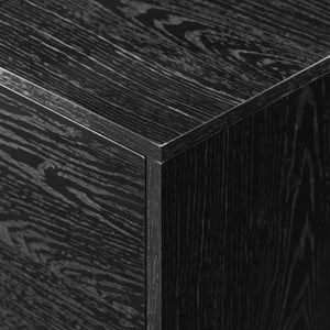 Contemporary 2 Door Minimalist TV Stand by Couch.com