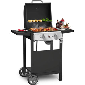 2-Burner Propane Gas Grill,228 Sq. Inch Cooking Area,Outdoor Camping Picnic for Patio,Party,Black