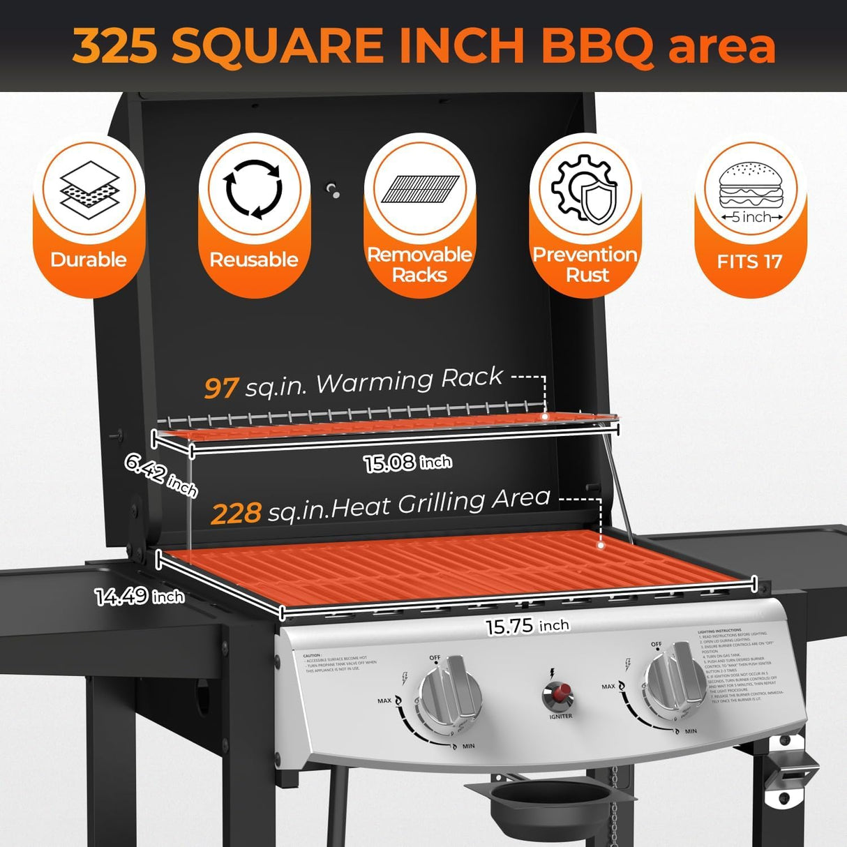 2-Burner Propane Gas Grill,228 Sq. Inch Cooking Area,Outdoor Camping Picnic for Patio,Party,Black