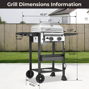 2-Burner Stainless Steel Propane Grill, 16,000 BTU Portable Gas BBQ with Electronic Ignition