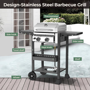 2-Burner Stainless Steel Propane Grill, 16,000 BTU Portable Gas BBQ with Electronic Ignition