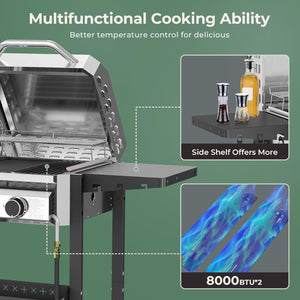 2-Burner Stainless Steel Propane Grill, 16,000 BTU Portable Gas BBQ with Electronic Ignition