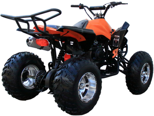 Coolster (3200S) 200cc Sport ATV, Automatic with Reverse, 10-inch Alloy Wheels, Hydraulic Disc Brakes