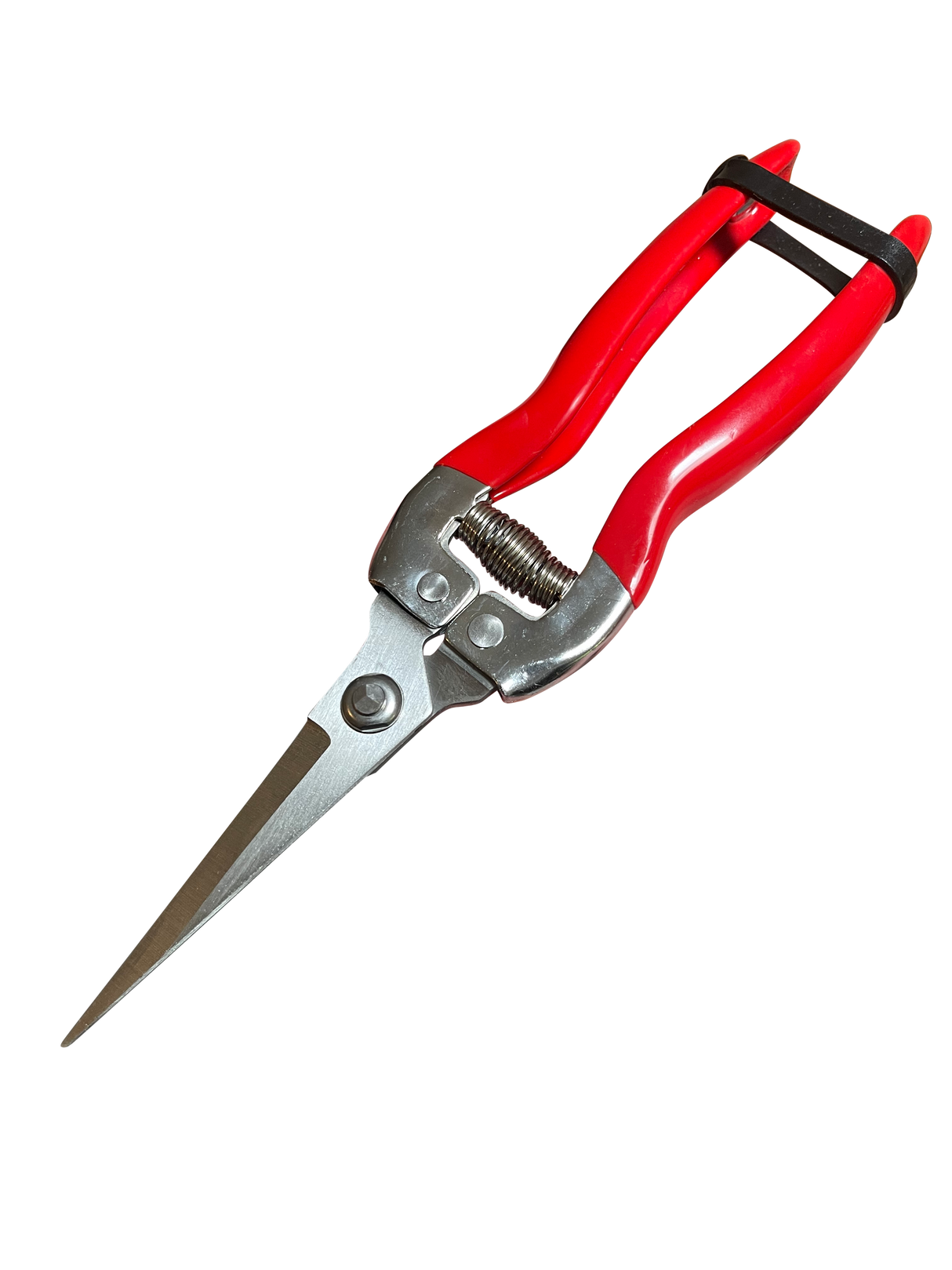 8-Inch Pruning Snips by Garden Guru