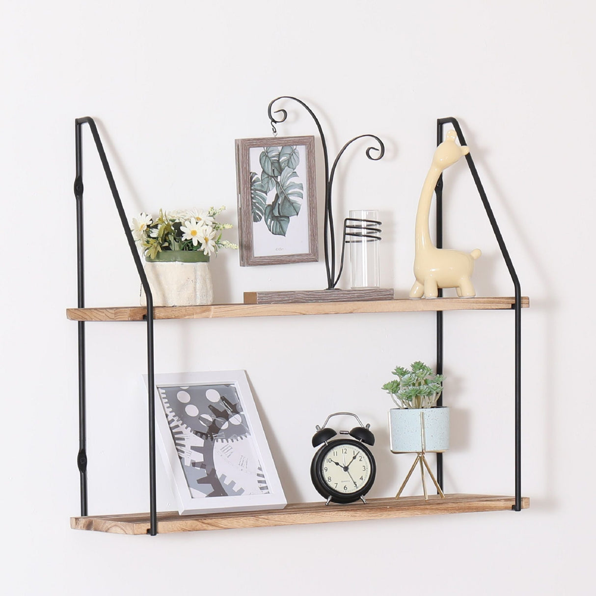 Gardenia - Wall Mounted Wall Storage, Decorative Hanging Display by Couch.com