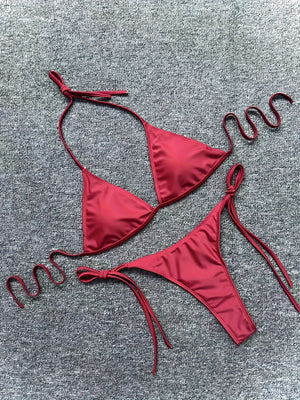 Bikini Leopard Print 2 Piece Swimsuit for Women – High Cut Lace-Up Backless Flattering Bikini Set with Halter Spaghetti Strap – Stretchy Sexy and Stylish Swimwear for Pool Beach and Summer Vacation