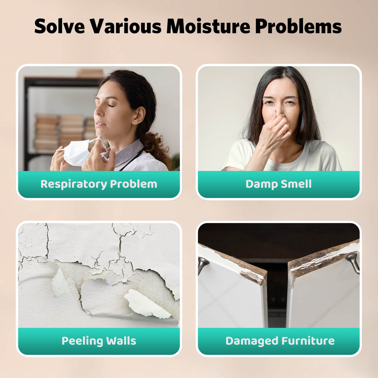 24 Pints Dehumidifier D4212B