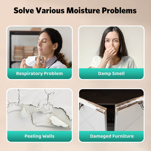 24 Pints Dehumidifier D4212B