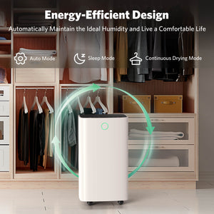 24 Pints Dehumidifier D4212B