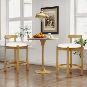 24 Inch Teddy Velvet Upholstered Counter Height Bar Stools with Backrests and Footrests-Set of 2