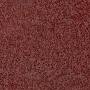 Mid-Century Tufted Leather Sofa by Couch.com