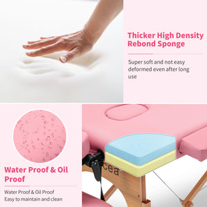 Portable Massage Table Bed With Carrying Case by Couch.com