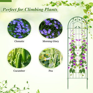 2 Pack 71 x 20 Inch Metal Garden Trellis Rustproof Plant Support for Climbing Plants-Green