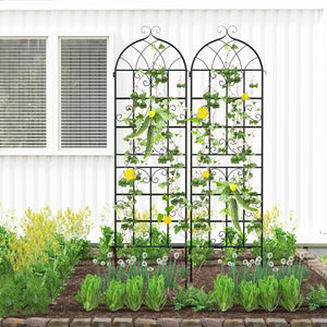 2 Pack 71" x 20" Metal Garden Trellis for Outdoor Climbing Plants